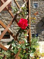 Vonkajšia záhrada v ubytovaní al Merlo Olivo, rural istrian house