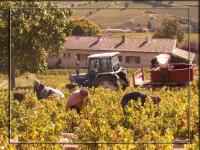 a group of people in a field with a tractor at La Croix de Saburin in Quincié-en-Beaujolais