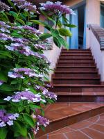 A garden outside VILLA ISELLA