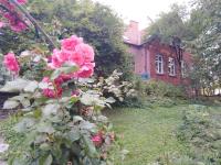 Ogród w obiekcie Alte Schule am See