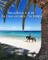 Horseback riding at the holiday home or nearby