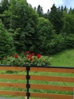 a balcony with red flowers on top of a fence at Nikolića kuća in Mitrovac