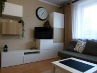 Televízia a/alebo spoločenská miestnosť v ubytovaní Apartament BB Czarny potok
