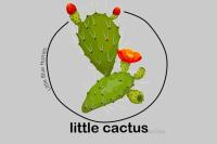 Plán poschodí v ubytovaní little cactus
