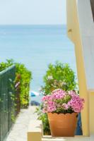 Táj Show holiday homes közelében