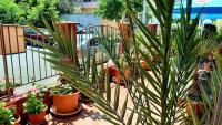 Zahrada ubytování Adri Guest House