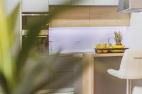 Kuchyň nebo kuchyňský kout v ubytování Luxury suite Elysium