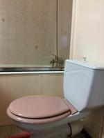 a pink toilet in a bathroom with a sink at Les Pastels in La Roche-sur-Yon