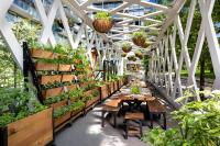 1 Hotel Torontoにある庭