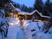 Holiday Home Tonkina kuća v zime