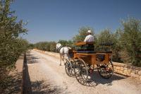 TERRA TERRA - Masseria Minunni vendégei