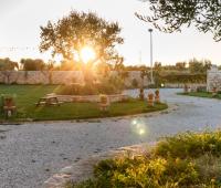 A garden outside TERRA TERRA - Masseria Minunni