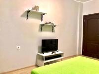 TV a/nebo společenská místnost v ubytování Comfort Luxury Apartments