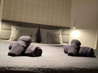 Posteľ alebo postele v izbe v ubytovaní Apartament Opieszyn 16
