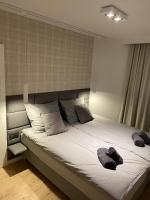 Posteľ alebo postele v izbe v ubytovaní Apartament Opieszyn 16