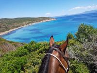 Táj Show holiday homes közelében