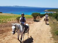 Horseback riding at the holiday home or nearby