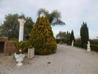 The floor plan of House 8 With 2 Bedrooms In The Countryside Of Rome