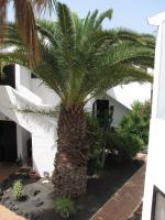 Zahrada ubytování Casa del Sol PDC