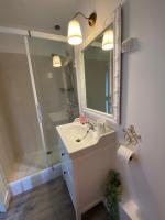 a bathroom with a sink and a mirror and a shower at LE VIEUX MOULIN in Bouhet