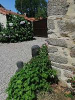 a green plant growing on the side of a stone wall at Le cottage de l&#39;étang in Le Tablier