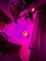 Corso Suite 107 Rooms Wellness & Spaで提供されているドリンク