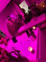 Corso Suite 107 Rooms Wellness & Spaの見取り図または間取り図