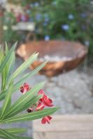 Ogród w obiekcie El Toro Blanco Luxury Villa in Andalucia