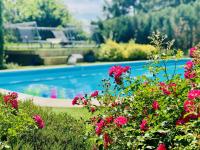 The swimming pool at or close to Villa Oliva Boutique Rooms Zamárdi