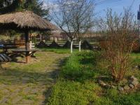 Pensiunea San Pio Sabisa في Săbişa: منطقة مخصصة للنزهات مزودة بطاولة وكوخ من القش