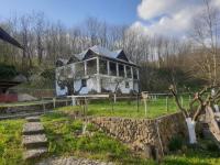 Pensiunea San Pio Sabisa في Săbişa: منزل قديم في وسط حديقة