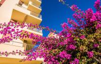 Zahrada ubytování 806 Minerva Apartamento - Vista al mar, la piscina y la montaña - Excelente wifi