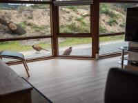 Půdorys ubytování Holiday home Fanø CXXXVI