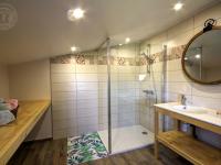 a bathroom with a shower and a sink and a mirror at Gîte Panissières, 3 pièces, 8 personnes - FR-1-496-215 in Panissières