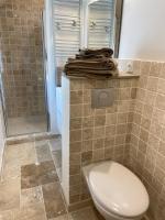 a bathroom with a toilet and a shower at Au coin des Hospices in Beaune