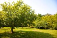 Zahrada ubytování Villa Mercedes