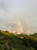 a rainbow in the sky over a vineyard at Tianyi Homestay in Fenqihu