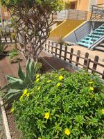 A garden outside Casa Daria - WiFi - swimming pool - FuerteventuraBay
