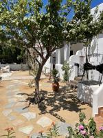 a tree in the middle of a stone pathway at Theofanis Studios in Agia Anna Naxos