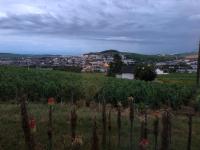 a vineyard with a town in the background at L’échappée Bulles in Épernay