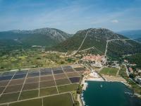 Príroda v okolí hotela