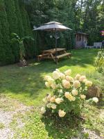 Vonkajšia záhrada v ubytovaní Bambu Lodge @ Ossiachersee