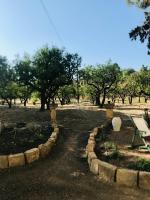 Ogród w obiekcie La Villa di Minerva