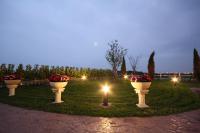 a row of flower pots with lights in the grass at Decoupage Manor in Jiaoxi