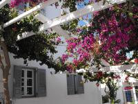 Vonkajšia záhrada v ubytovaní Milos Bay Suites