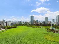 Ueno Hotel Guide 2026: 12 Great-Value Hotels Near JR and Skyliner Ueno Station, with Family, Budget and Luxury Options