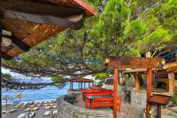 Příroda nedaleko penzionu