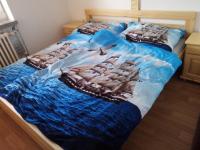 Postel nebo postele na pokoji v ubytování Apartment Pavel