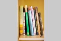 The library in Az apartmant