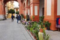 Hosté ubytování Apartamento San Pedro-Corredera